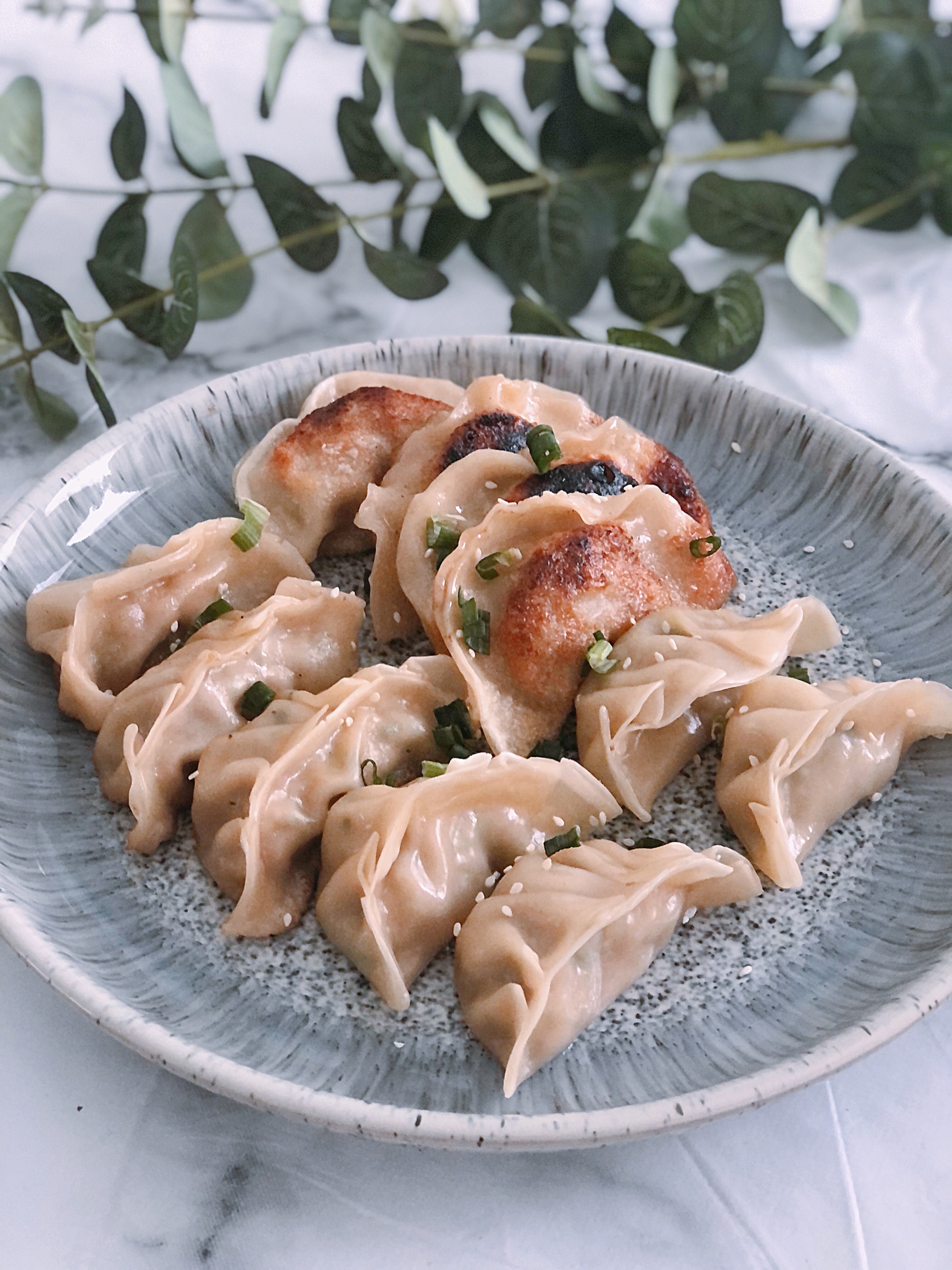 Make Your Own Gyoza - Red Kite Days